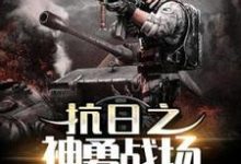 《抗日之神勇战场》小说章节列表免费试读,李云小说在线阅读-红梅文学
