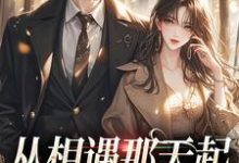 秦扬展漾小说在线章节免费阅读(从相遇那天起,就注定解不开无弹窗无删减)-红梅文学