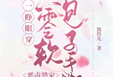 已完结小说《一睁眼穿六零软包子手撕恶毒婆家》最新章节-红梅文学