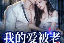 完结版《我的爱被老婆永久拉黑》免费阅读-红梅文学