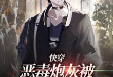快穿:恶毒炮灰被疯批们强制爱了小说全文哪里可以免费看?-红梅文学