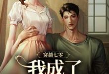 免费在线阅读穿越七零,我成了他的续命符小说的正规网站有哪些?-红梅文学