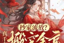 抄家流放?真千金搬空全京去造反完整版小说,抄家流放?真千金搬空全京去造反免费阅读-红梅文学