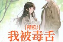 小说《糟糕!我被毒舌霸总缠上了》完整版章节免费阅读-红梅文学