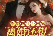 军婚四年不回家,离婚还想不离床小说全文阅读需要付费吗?寻找免费资源-红梅文学