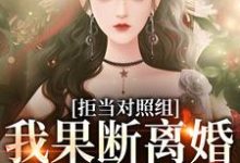 拒当对照组,我果断离婚逃离渣夫江月周颂年小说免费阅读-红梅文学