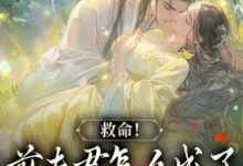 已完结小说《爱你太苦,这辈子打死我都不嫁了》最新章节-红梅文学