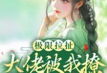 极限拉扯!大佬被我撩得脸红心跳小说有没有完结版在线?-红梅文学