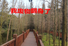 沈知意宋鹤年小说叫什么(70穿书,我废物翻身了完整版免费阅读)-红梅文学