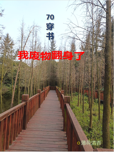 沈知意宋鹤年小说叫什么（70穿书，我废物翻身了完整版免费阅读）
