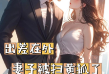 出差在外妻子被扫黄抓了周云辉苏静瑶,出差在外妻子被扫黄抓了章节在线阅读-红梅文学