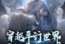 求穿越平行世界,我成暮年大帝小说的全文免费阅读链接-红梅文学