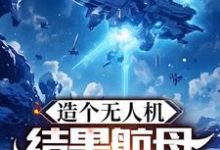 完结版《造个无人机,结果航母上天了?》在线免费阅读-红梅文学