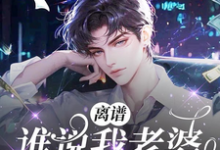 小说《离谱!谁说我老婆贪慕虚荣?!》章节免费阅读-红梅文学