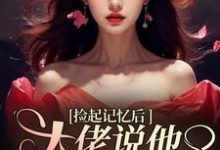 捡起记忆后,大佬说他要娶黑莲花小说的免费阅读版本在哪里可以找到?-红梅文学