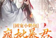 团宠小奶包,疯批暴君沉迷养崽小说的免费电子版在哪里可以下载或阅读?-红梅文学