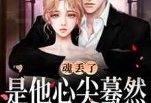 完整版《魂丢了，是他心尖蓦然颤动的声音》小说免费阅读-红梅文学