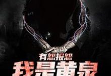 完整版小说《有怨报怨,我是黄泉摆渡人》免费阅读-红梅文学