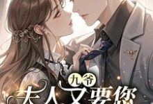 完结版《九爷,夫人又要您跪下抄家规了》章节目录在线阅读-红梅文学