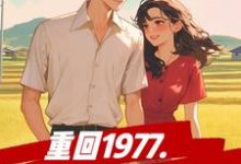重回1977,先从分家开始小说完结版章节免费阅读-红梅文学