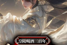 小说《皇陵喝酒三百年,出世即无敌》在线章节阅读-红梅文学