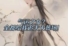 陆辰小说气运之女?全都给我追夫火葬场!在线阅读章节-红梅文学