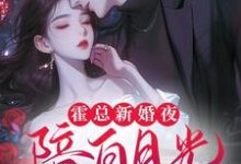 《霍总新婚夜陪白月光,我不干了》全集免费在线阅读(苏语倾霍裴衍)-红梅文学