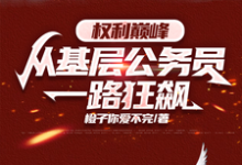 小说《权力巅峰:从基层公务员一路狂飙》章节免费阅读-红梅文学