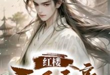 红楼:天下文豪完整版小说免费阅读,红楼:天下文豪小说-红梅文学
