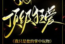 顶级狂爱:我只是他的掌中玩物小说的最新章节在哪里更新?免费追踪阅读-红梅文学
