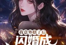 我意外瞎了后,闪婚成前女友姑父完整版小说,我意外瞎了后,闪婚成前女友姑父最新章节-红梅文学