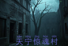 寻找天宁村惊魂小说的最新更新章节-红梅文学