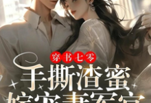 苏软宋时新小说完结版在线阅读,穿书七零:手撕渣蜜,嫁宠妻军官免费看-红梅文学