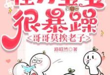 洛言柒七七小说完结版在线阅读,怪力宝宝很暴躁,哥哥莫挨老子免费看-红梅文学