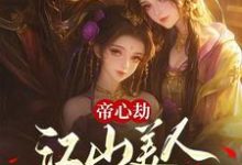 在线免费阅读帝心劫:江山美人两不负完整小说-红梅文学