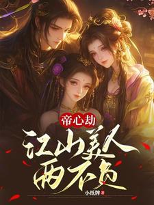 在线免费阅读帝心劫：江山美人两不负完整小说
