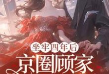 坐牢四年后，京圈顾家跪求我原谅夏晴小说在线章节目录阅读最新章节-红梅文学