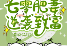 完结版《军婚一胎三宝?七零肥妻逆袭致富》在线免费阅读-红梅文学