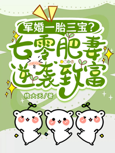 完结版《军婚一胎三宝？七零肥妻逆袭致富》在线免费阅读