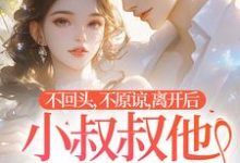 不回头,不原谅,离开后小叔叔他后悔了时晚,不回头,不原谅,离开后小叔叔他后悔了章节在线阅读-红梅文学