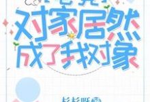已完结小说《对家居然成了我对象【电竞】》章节在线阅读-红梅文学