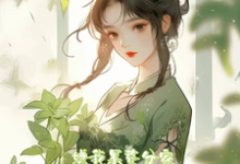 知音小说免费阅读完整版-红梅文学