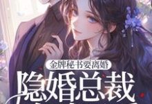 完整版《金牌秘书要离婚，隐婚总裁全球示爱！》小说免费阅读-红梅文学