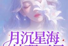 沈清栀完整版小说《月沉星海,梦醒不见》免费阅读-红梅文学