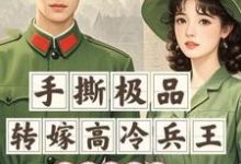 夏姝宁卓知衡小说完整版《末世穿七零:手撕极品转嫁兵王》免费阅读-红梅文学