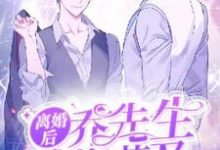 完结版《离婚后乔先生追悔莫及》章节阅读-红梅文学