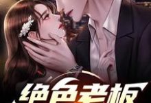《绝色老板娘的愿望》张奇小说免费阅读完整版-红梅文学