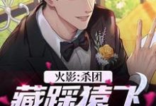 小说《火影:杀团藏踩猿飞,我无敌了》完整版在线章节免费阅读-红梅文学