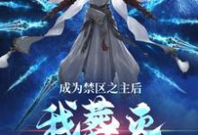 完结版《成为禁区之主后，我葬灭万古诸天》免费阅读-红梅文学
