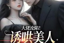 求大佬沦陷!诱哄美人回家放肆宠小说免费资源-红梅文学